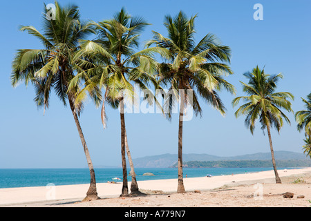 Agonda Beach, South Goa, Goa, India Stock Photo