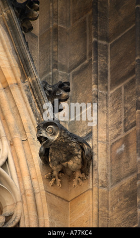 Bird Gargoyle on the wall of St Vitus Cathedral Prague Czech Republic Stock Photo