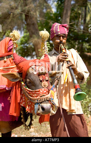 A Indian Man Playing A Nadaswaram Oboe Type With His Colourful Decorated Bull Playing Traditional Indian Music To Tourists Stock Photo Alamy