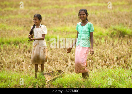 Two happy young Indian girls pose for the camera while working in the rice fields. Stock Photo