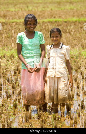 Two happy young Indian girls pose for the camera while working in the rice fields. Stock Photo