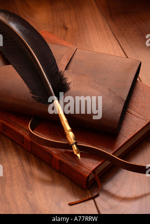 Antique quill pen on stack of leather bound journals Stock Photo