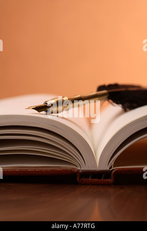 Antique quill pen on open book Stock Photo