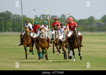 Polo match Sarasota Florida FL Stock Photo