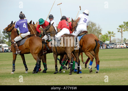 Polo match Sarasota Florida FL Stock Photo