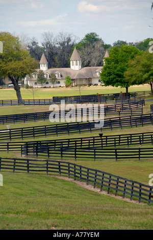 Horse farms in Ocala Florida FL Stock Photo