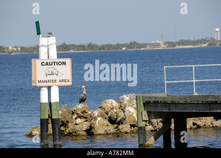Caution Manatee area warning sign for boater in the Peace River at Punta Gorda Florida FL Stock Photo