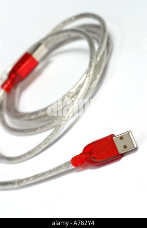USB Lead on a white background. Stock Photo