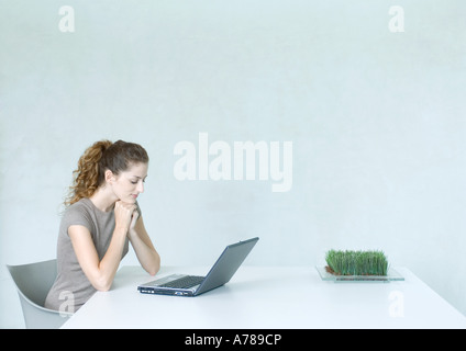 Woman using laptop, tray of wheatgrass on table Stock Photo