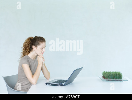 Woman using laptop, tray of wheatgrass on table Stock Photo