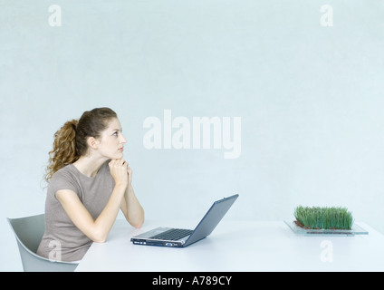 Woman using laptop, looking up, tray of wheatgrass on table Stock Photo