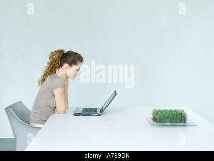 Woman using laptop, tray of wheatgrass on table Stock Photo