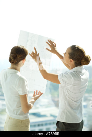 Two women holding up blueprints against window, discussing, rear view Stock Photo