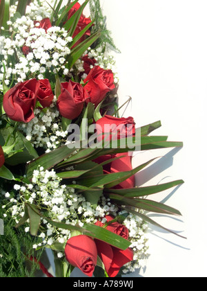 Red roses with Baby's Breath Stock Photo