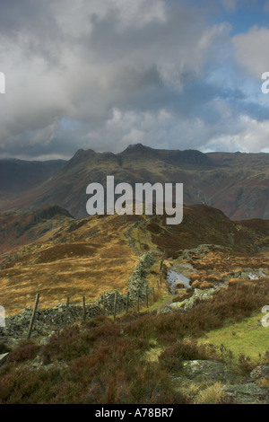 Stone wall fields and Lingmoor Fell Little Langdale Lake District ...