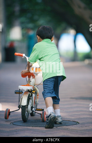 Boy walking with bicycle with training wheels, rear view Stock Photo