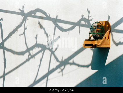 A strange custom in Andalusia, Spain - A caged partridge on a wall with the shadow of a trimmed grapevine Stock Photo