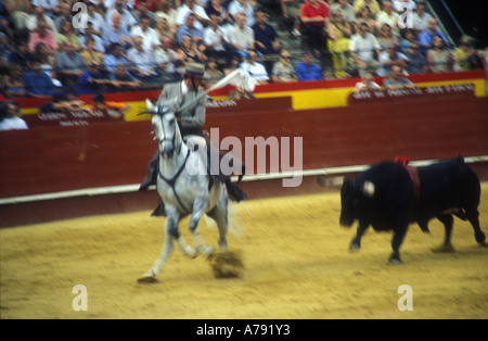 A Picador fights a Bull during a traditional bullfight in Valencia Spain Stock Photo