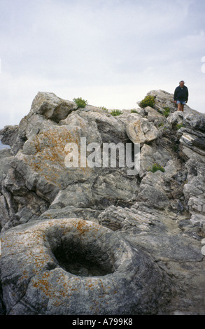 Man walking on prehistoric fossilised cycads in the fossil forest Lulworth Dorset England Stock Photo