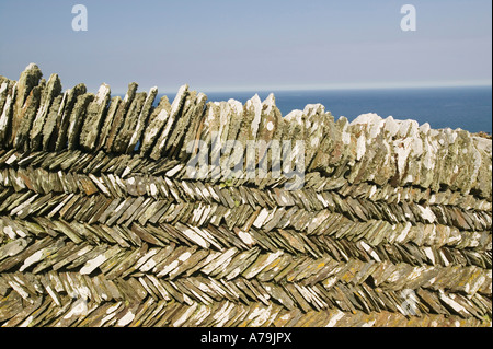 A typical Cornish drystone wall near tintagel, Cornwall, UK Stock Photo