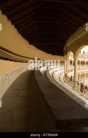 dh Bullring RONDA SPAIN Balcony gallery bench seats inside bullfighting arena Stock Photo