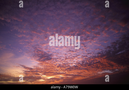 A brilliant sunset spreads it's light to the high altocumulus clouds near Palm Beach  Aruba. Stock Photo
