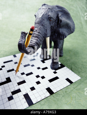 Elephant doing cross word Puzzle Stock Photo