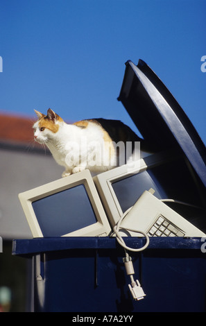 Screen and computer keyboard thrown in the trash can. Stock Photo