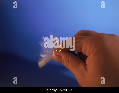 bundle of lightwave cables fibreoptic Stock Photo