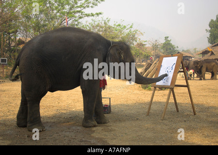 Elephant Painting Chiang Dao Chiang Mai Thailand Stock Photo