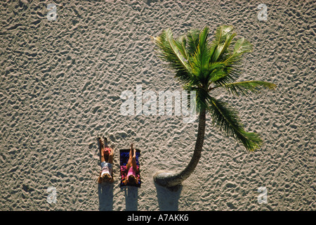 Couple sitting on beach in Hawaii under lone palm tree Stock Photo