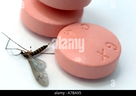 Anti Malaria tablets Malarone with mosquito in close up Made by Glaxo Smith Kline Stock Photo