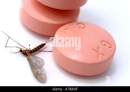 Anti Malaria tablets Malarone with mosquito in close up Made by Glaxo Smith Kline Stock Photo