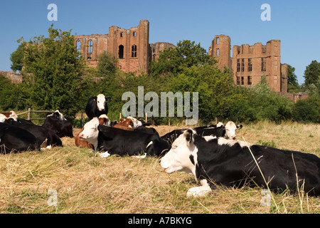 Kenilworth Castle Kenilworth UK June 2005 Stock Photo