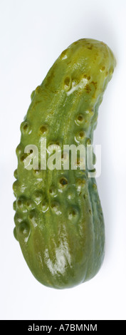 Single pickled cucumber on white Stock Photo