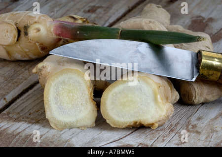 Common Ginger Roots Stock Photo - Alamy
