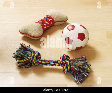 toys for dogs / Stock Photo