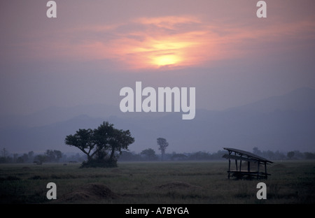 Sunrise over paddy fields in northern Thailand Stock Photo