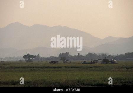 Sunset over Paddy fields in Denchai North Thailand Stock Photo