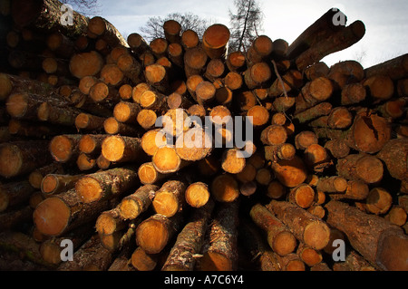 Pile of wood to be used for heating. Stock Photo
