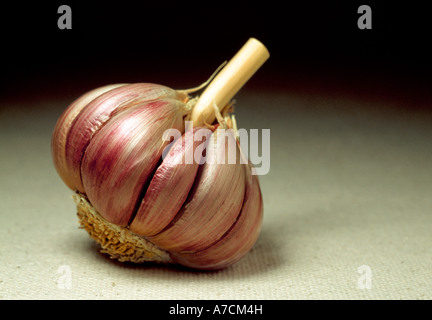 Garlic. Stock Photo