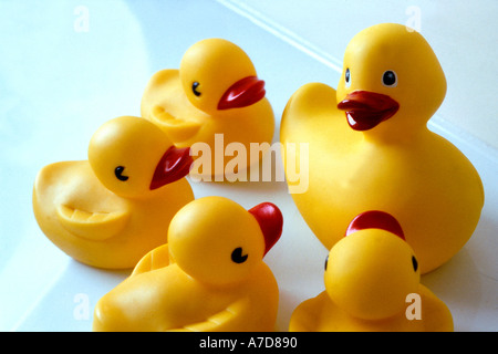Yellow rubber ducks in meeting Stock Photo