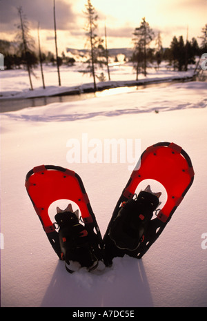 Snowshoes in the snow along the Firehole River in Yellowstone National Park Wyoming Stock Photo