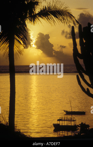 Sunrise over the ocean with silhouettes of cactus tree, palm tree and boats on the sea, Mombasa Beach South, Kenya