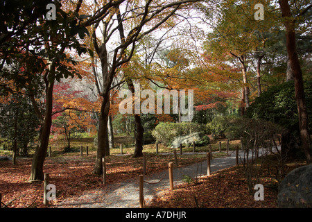 Red and gold autumn maple tree leaves in Ryoanji Temple city of Kyoto Japan Asia Stock Photo