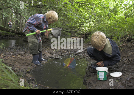 children with brailer in a creek, Germany Stock Photo