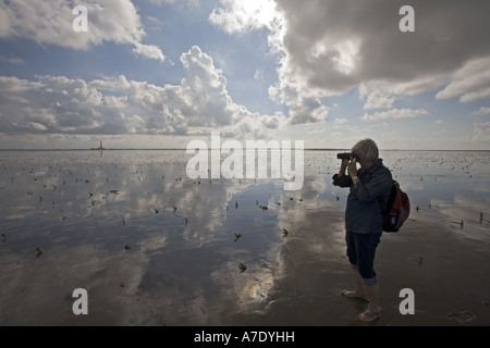 Waddensea with Lighthouse Westhever, Germany, Schleswig-Holstein, Wadden Sea NP Stock Photo