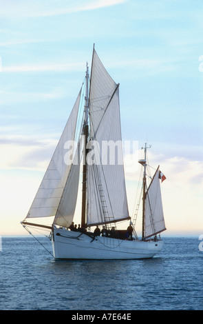 The French navy owned gaff yawl Mutin a former tuna fishing boat Stock Photo