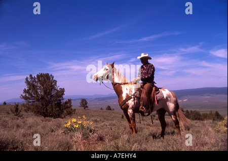 A cowboy and his horse on a mountain overlooking a valley in Western United States Stock Photo