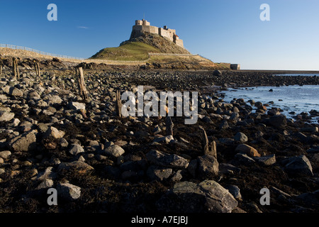 View of Lindisfarne Castle from the stony beach, Holy Island, Northumberland, England, UK Stock Photo